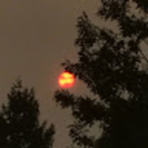 Meet your Posher, Reagan